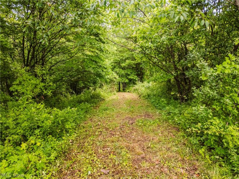 Edie Hill Road, Uhrichsville, OH - Photo 3