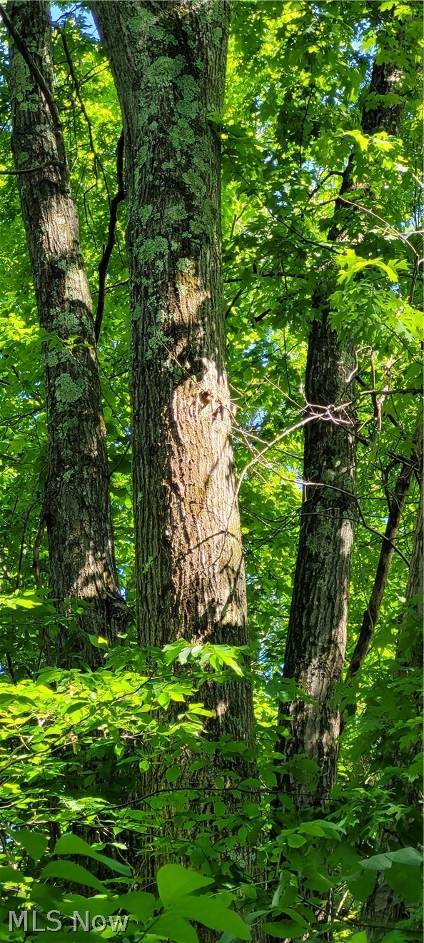 Hollis Clark Road, Caldwell, OH - Photo 6