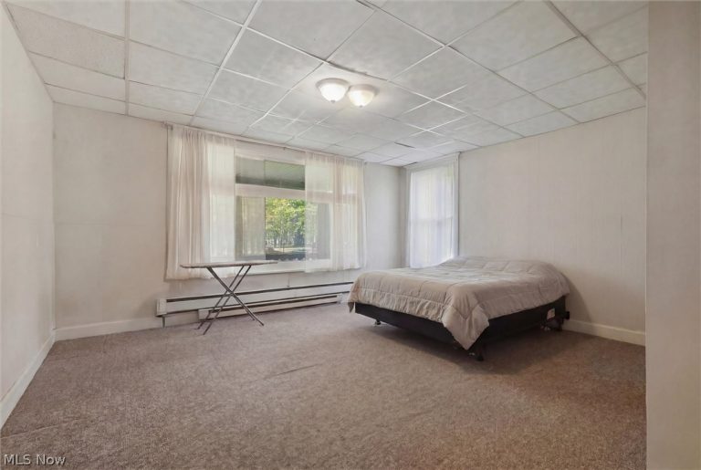 252 Broadway Avenue, Youngstown, OH - Photo 5
