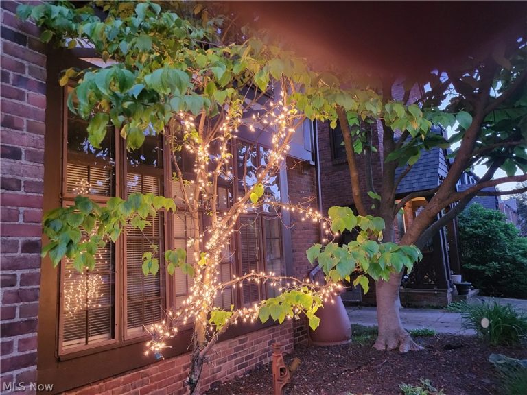 3646 Lynnfield Road, Shaker Heights, OH - Photo 6