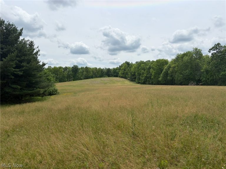 Apollo Road, Salineville, OH - Photo 2