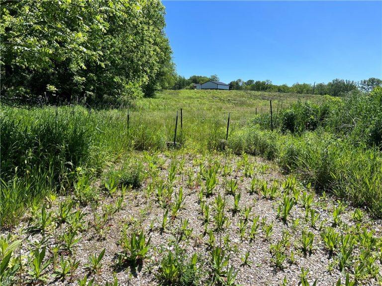 Shaw Road, Spencer, OH - Photo 5
