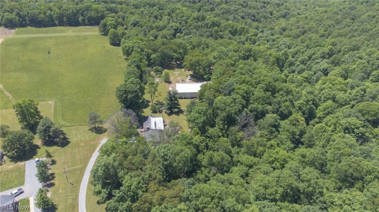 38967 State Route 39 Road, Salineville, OH - Photo 4