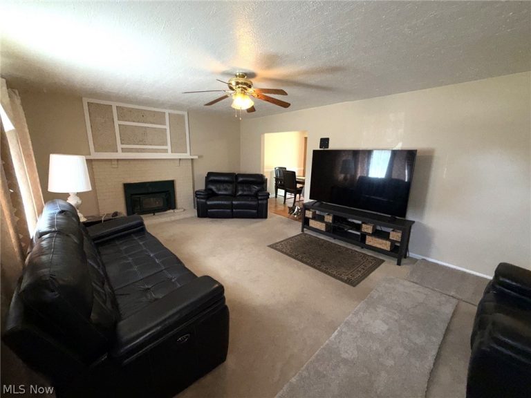4828 New Road, Austintown, OH - Photo 5