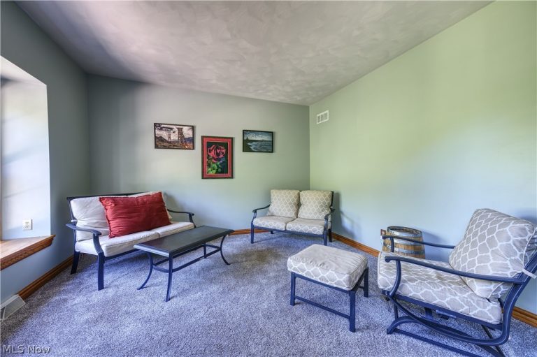 8744 Tippecanoe Road, Canfield, OH - Photo 4