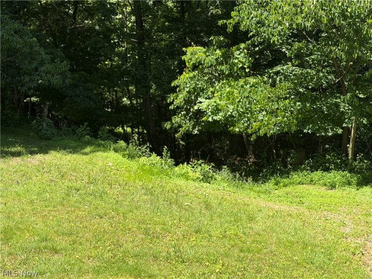 345 Tower, Elizabeth, WV - Photo 5
