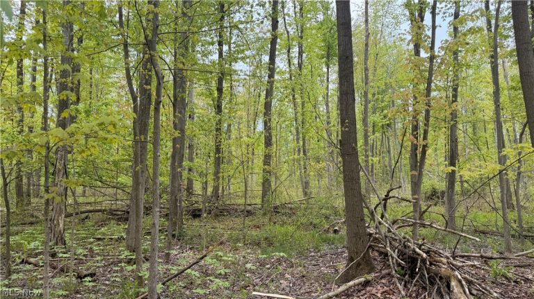 Munson Hill Road, Ashtabula, OH - Photo 8