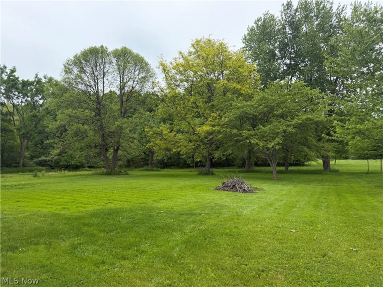 11800 Frost Road, Mantua, OH - Photo 5
