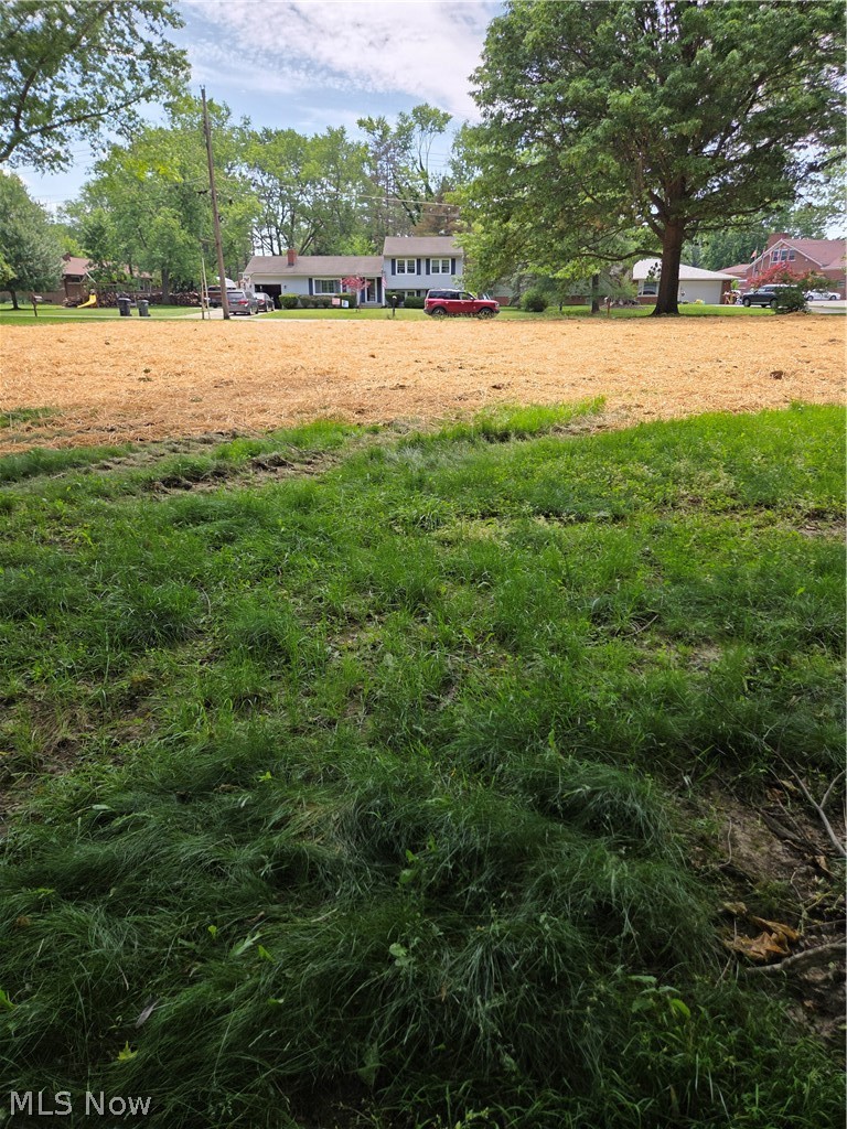 1065 Rosealee Avenue, Elyria, OH - Photo 2