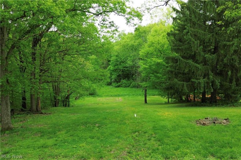 183 Meadow Road, Wintersville, OH - Photo 4
