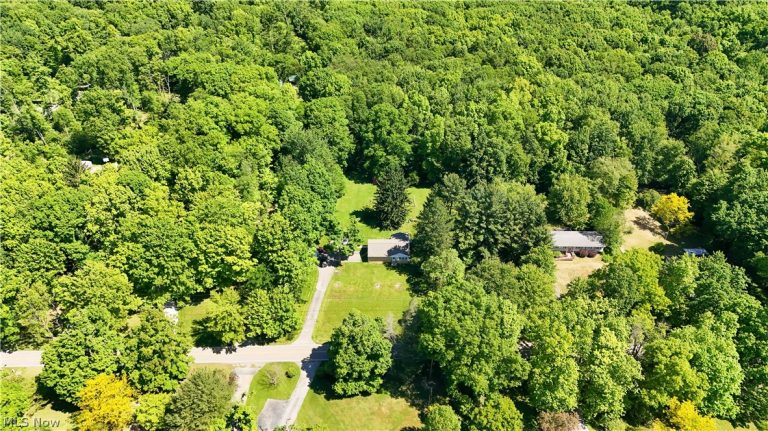 9621 Wolfe Road, Windham, OH - Photo 3