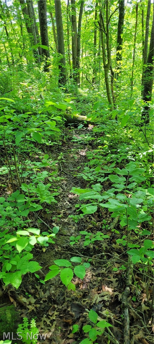 Hollis Clark Road, Caldwell, OH - Photo 8