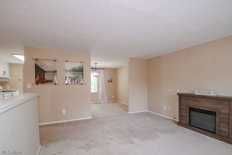 10015 Windjammer Trail, Aurora, OH - Photo 8