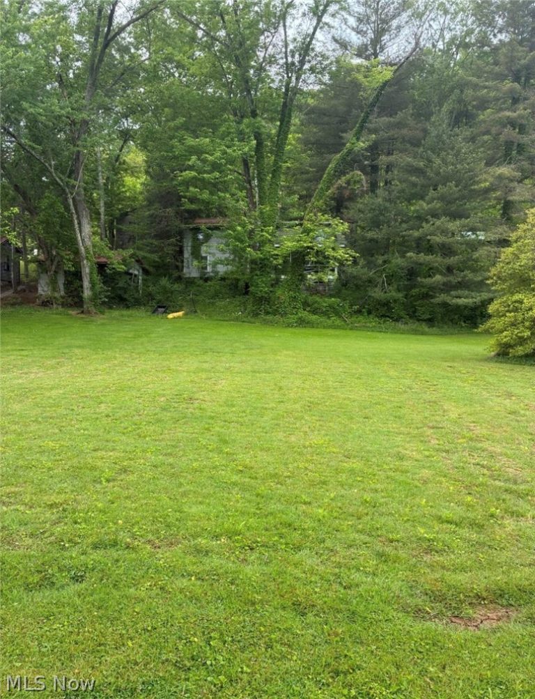 5973 Elizabeth Pike, Elizabeth, WV - Photo 3