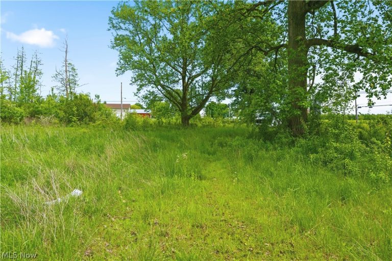 3133 Greenwich Road, Wadsworth, OH - Photo 8