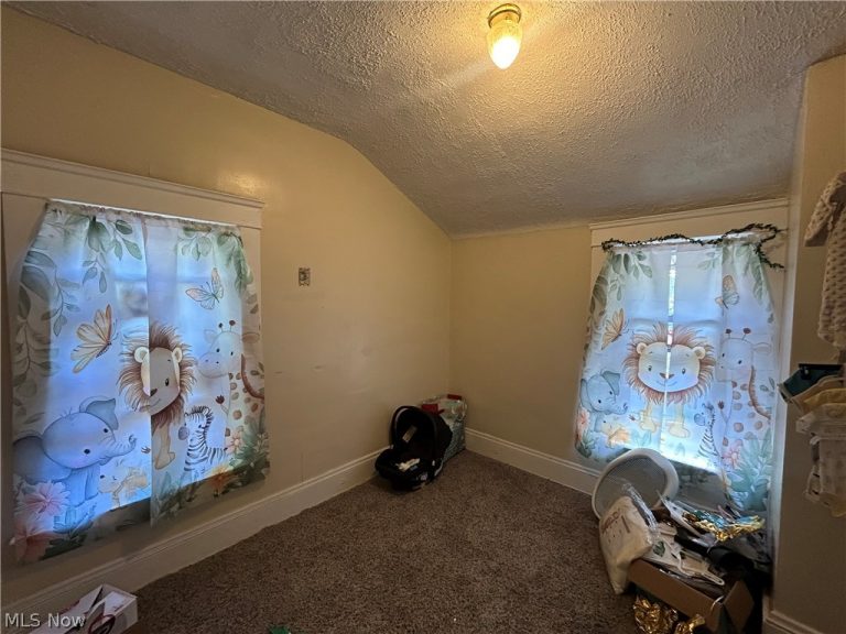 1105 144th Street, Cleveland, OH - Photo 8