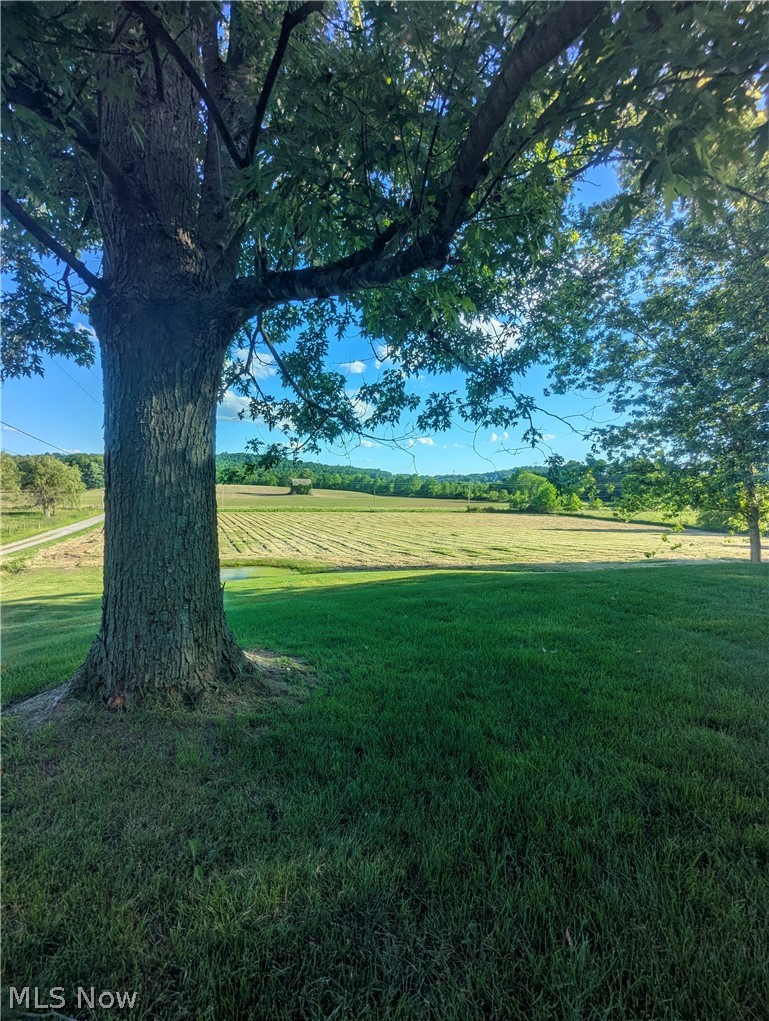 18395 Leatherwood Road, Salesville, OH - Photo 4