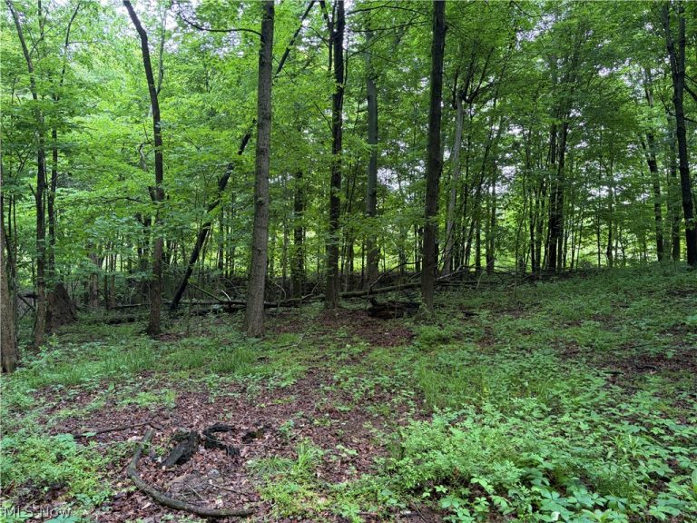 8416 Township Road 551, Shreve, OH - Photo 5