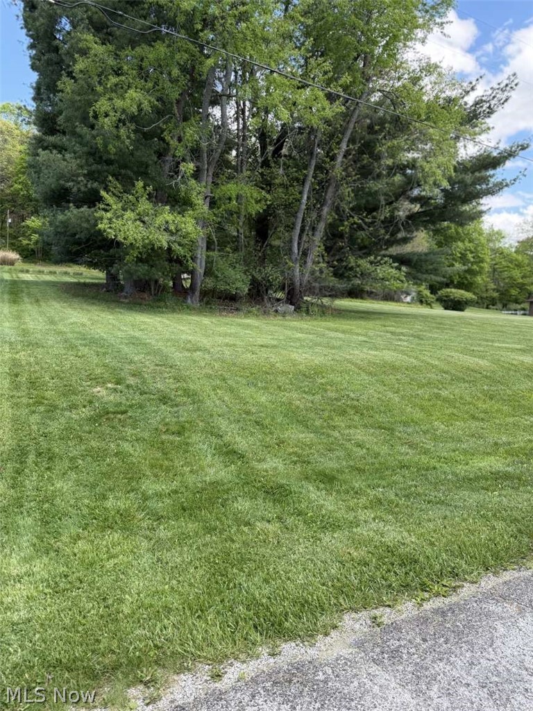Township Road 1193, Coshocton, OH - Photo 3
