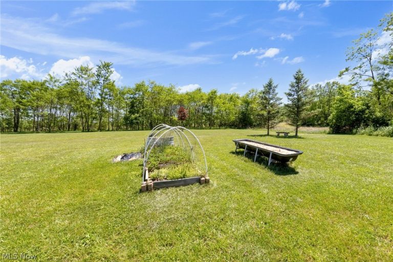 9309 County Road 46, Galion, OH - Photo 5