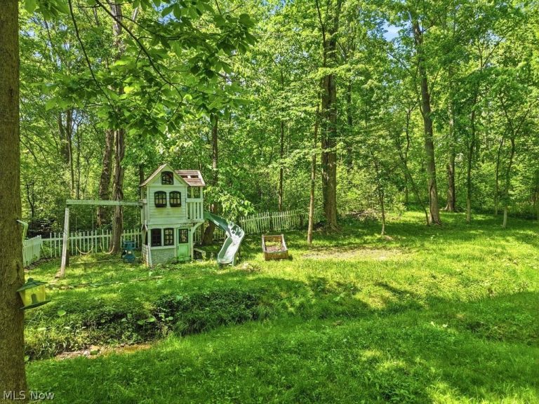 265 Ravenna Street, Hudson, OH - Photo 4