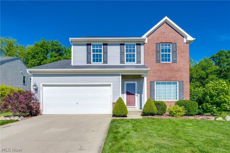 163 Newton Drive, Wadsworth, OH, 44281
