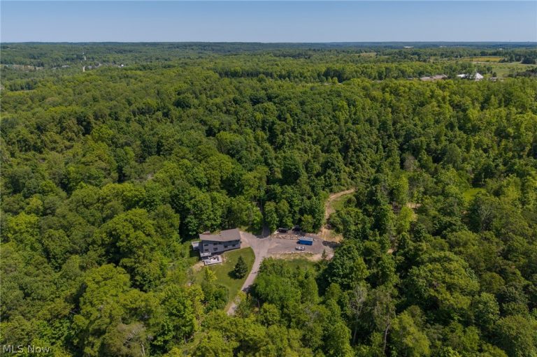 10640 Butternut Road, Chesterland, OH - Photo 3