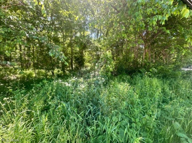 Ridge Road, Madison, OH - Photo 6