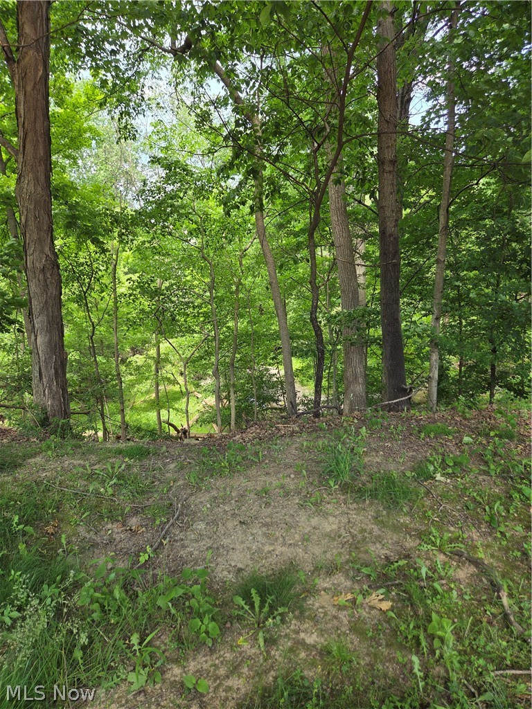 1065 Rosealee Avenue, Elyria, OH - Photo 4