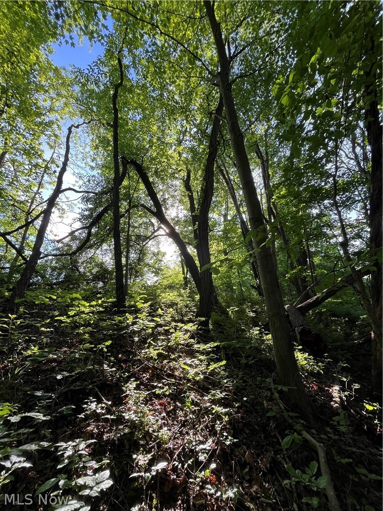 VL Ridge Road, Geneva, OH - Photo 6