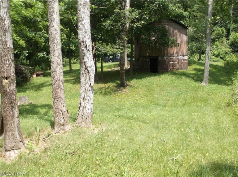 59208 Trail Run Road, Byesville, OH - Photo 8