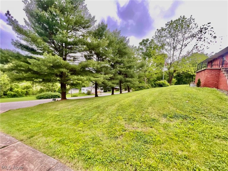 1805 Lee Creek Rd, Belleville, WV - Photo 4