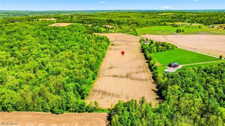 V/L Taylor Wells Road, Chardon, OH - Photo 8