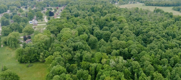 Chestnut Ridge Ridge, Masury, OH - Photo 2