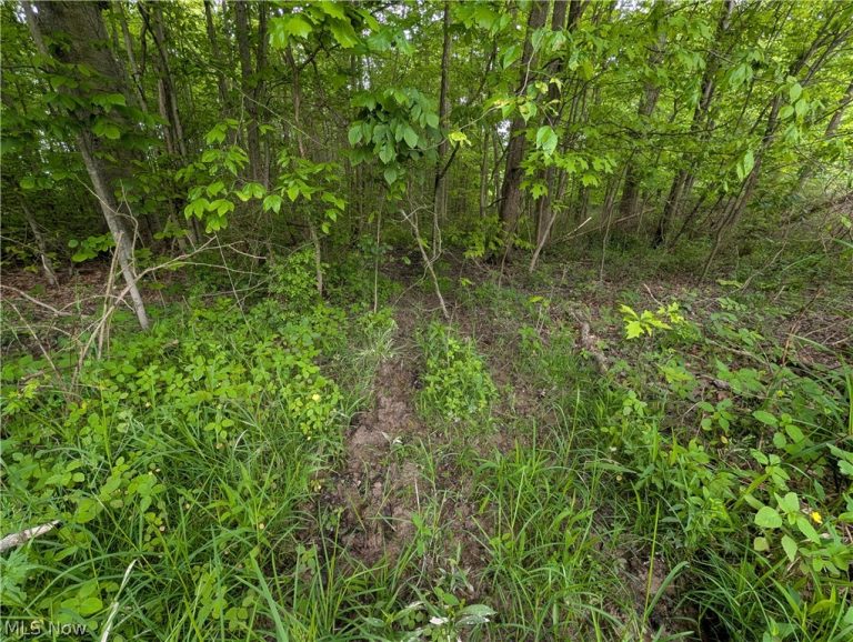 W Western Reserve Road, Canfield, OH - Photo 8