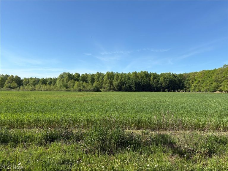 VL Laskey Road, Rome, OH - Photo 3