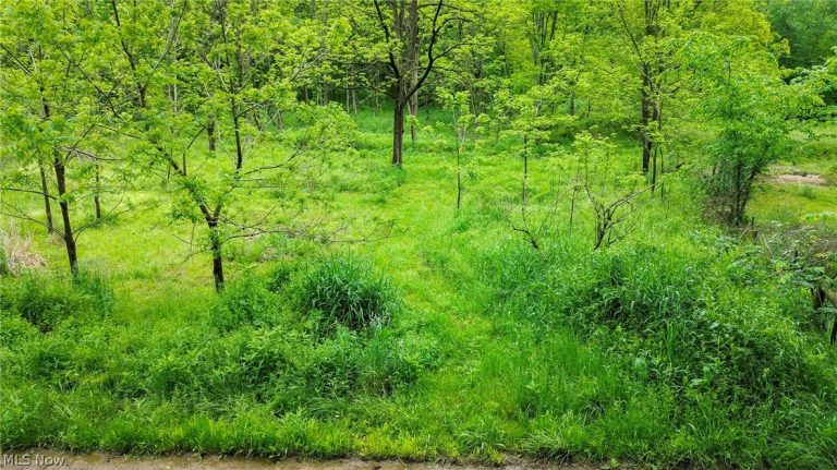 Tr 88, Coshocton, OH - Photo 5