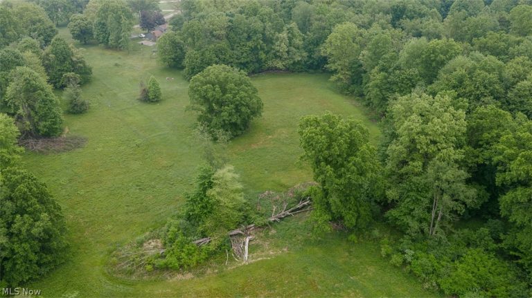 Chestnut Ridge Ridge, Masury, OH - Photo 5