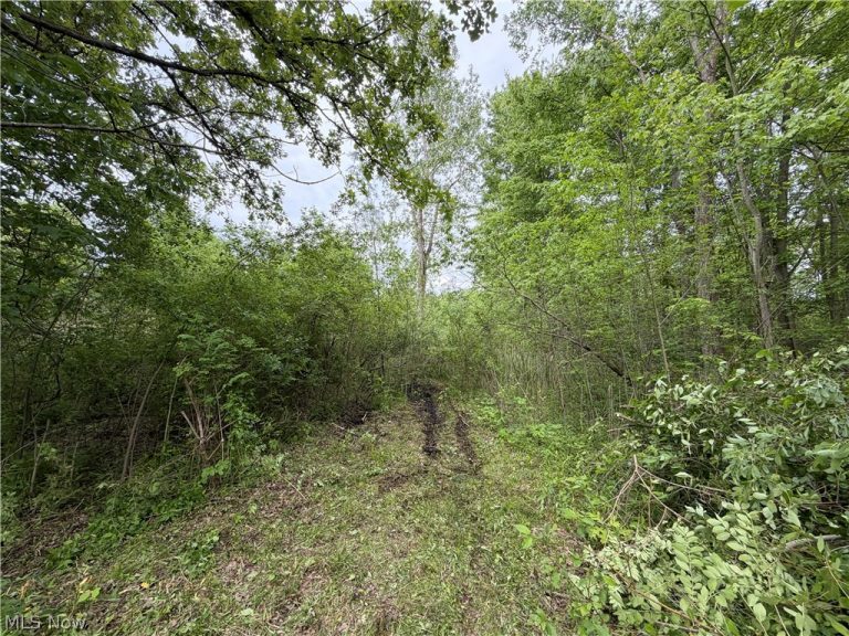 Dayton Road, Madison, OH - Photo 2