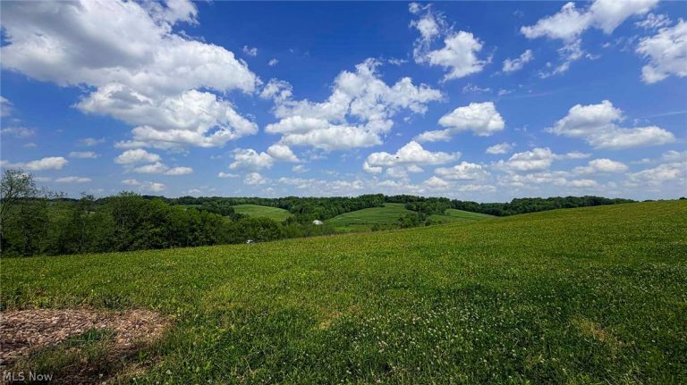 County Road 126, Millersburg, OH - Photo 2