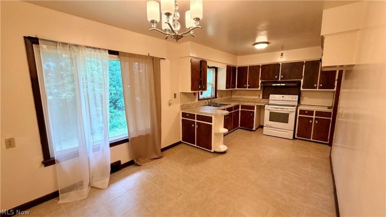 1101 Fess Avenue, Akron, OH - Photo 3