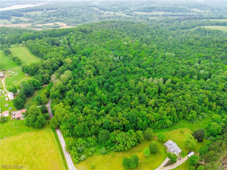Miller Hill Road, Sherrodsville, OH - Photo 4