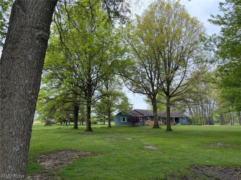 11449 Island Creek Drive, Beloit, OH - Photo 5