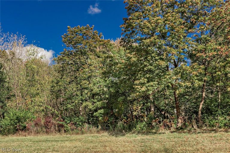V/L Schady Road, Olmsted Twp, OH, 44138