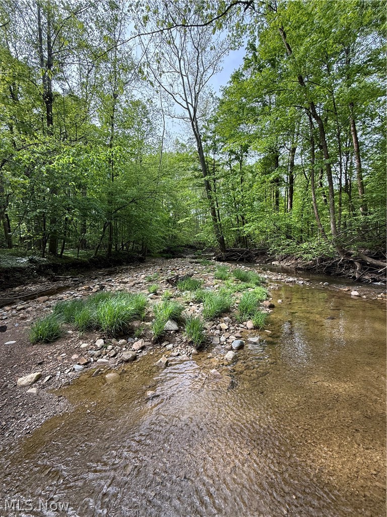 Winterberry Lane, Chardon, OH - Photo 4
