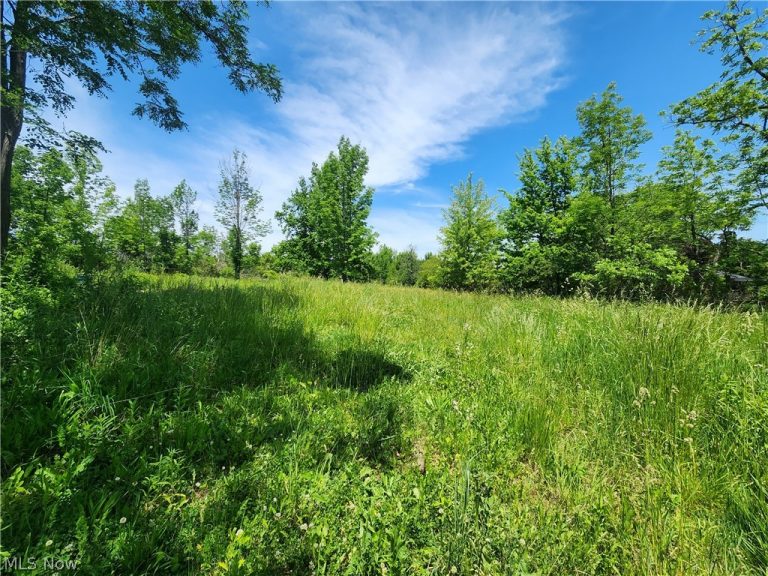 14161 Painesville Warren Road, Painesville, OH - Photo 4