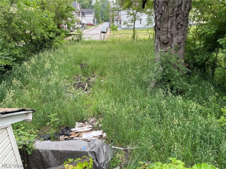 8018 Platt Avenue, Cleveland, OH - Photo 6