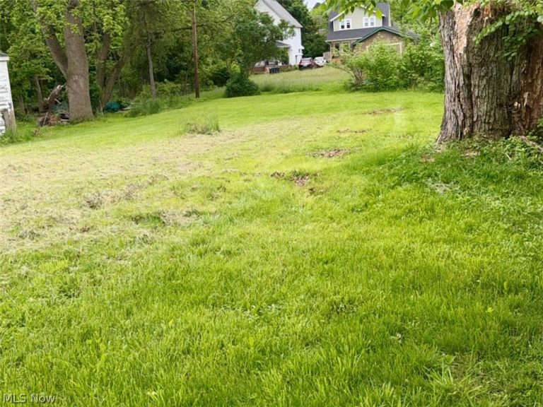 222 Wooster Street, Elyria, OH - Photo 6