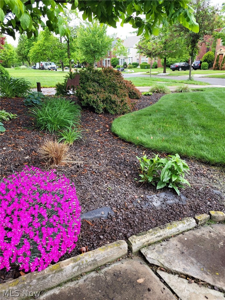 3646 Lynnfield Road, Shaker Heights, OH - Photo 5
