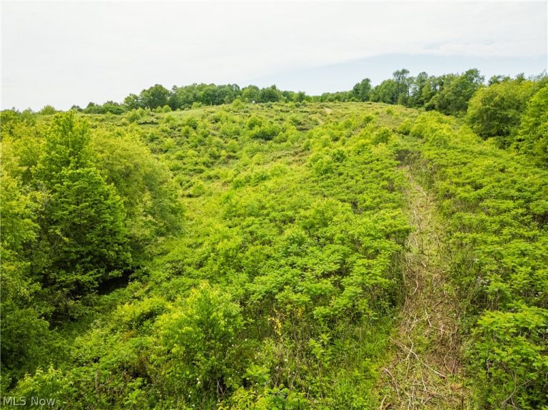 Barkley Road, Uhrichsville, OH - Photo 6